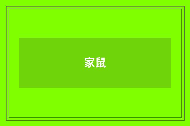 家鼠