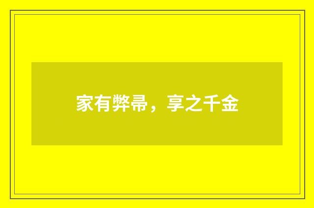 家有弊帚，享之千金