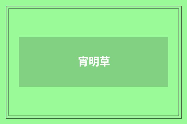 宵明草