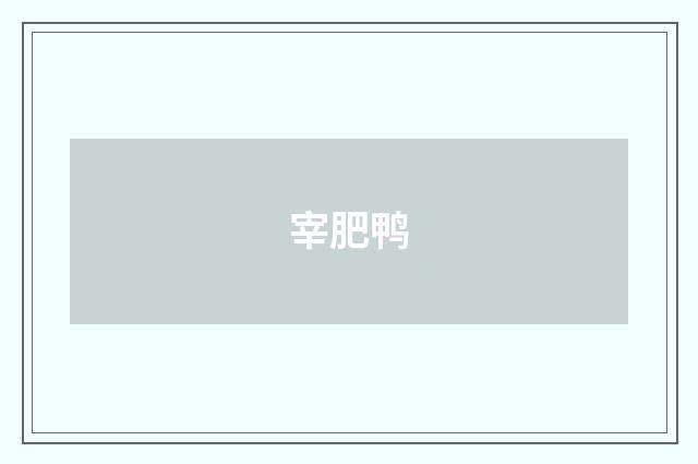 宰肥鸭