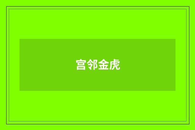 宫邻金虎
