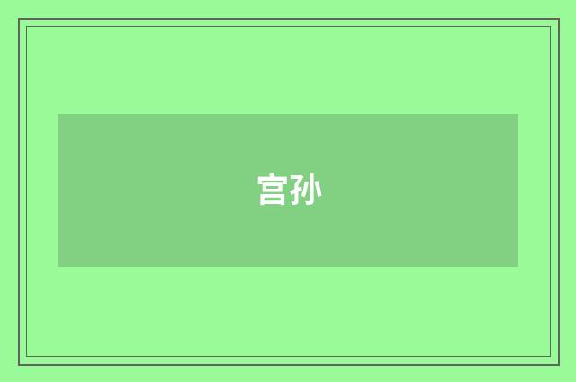 宫孙