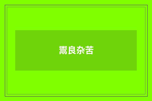 鬻良杂苦