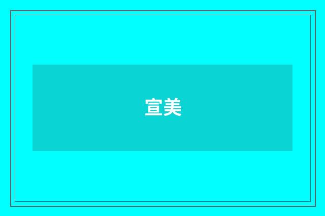 宣美