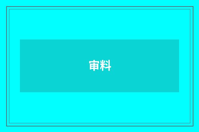 审料