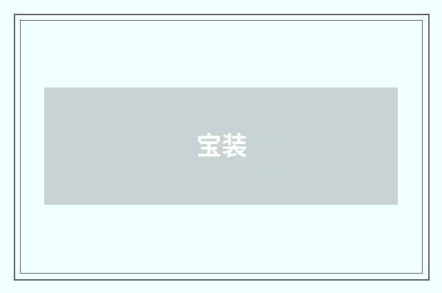 宝装