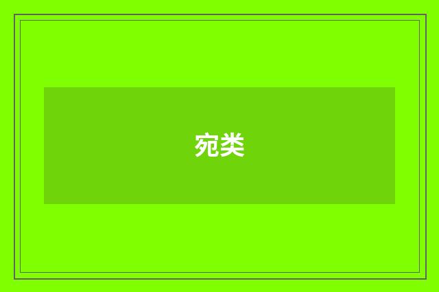 宛类
