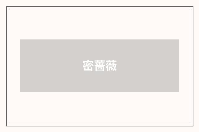密蔷薇