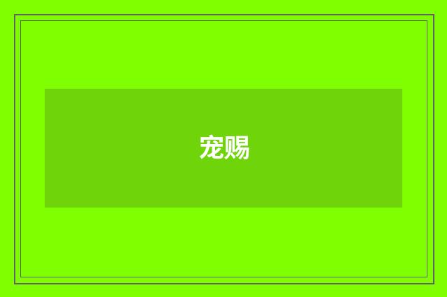 宠赐