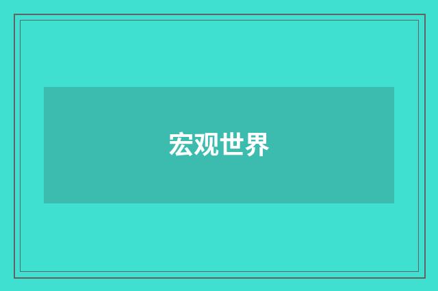 宏观世界