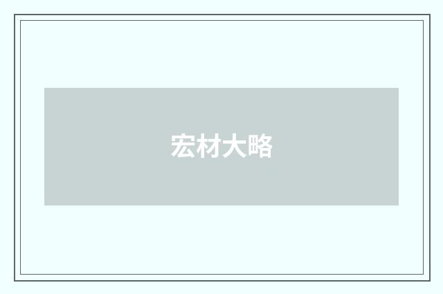 宏材大略