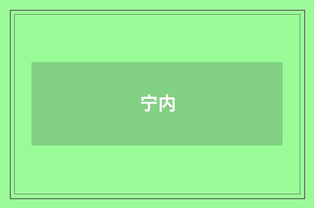宁内