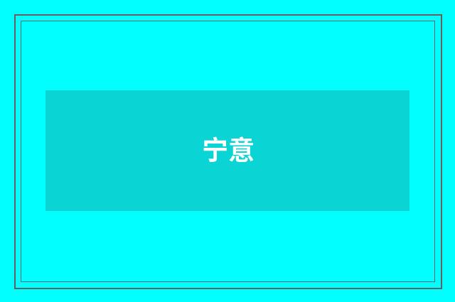 宁意