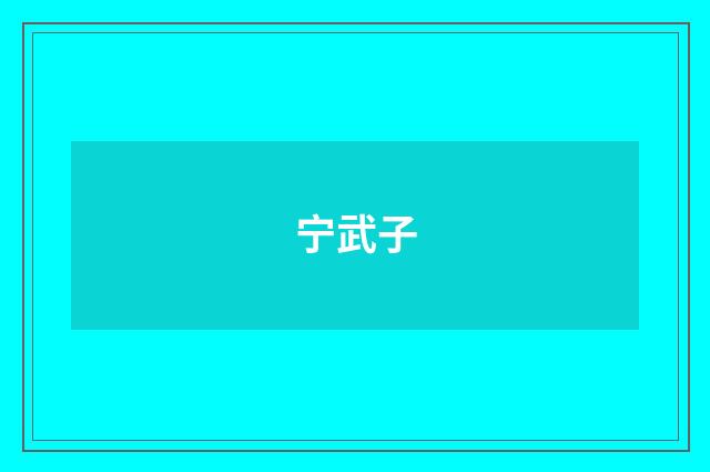 宁武子