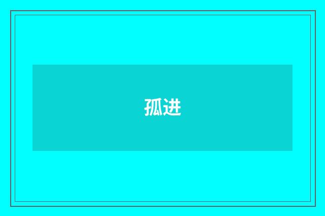孤进