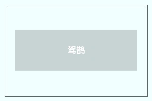 驾鹊