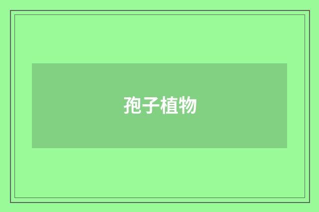 孢子植物