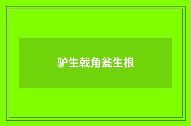 驴生戟角瓮生根