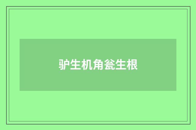 驴生机角瓮生根