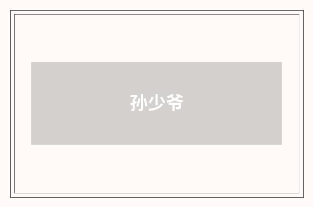 孙少爷