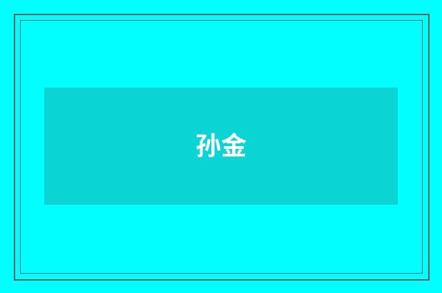 孙金