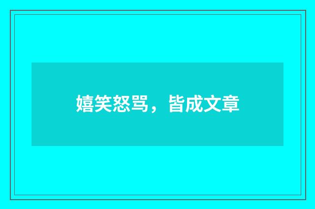 嬉笑怒骂，皆成文章
