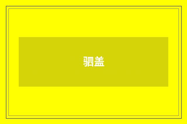 驷盖