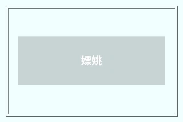 嫖姚