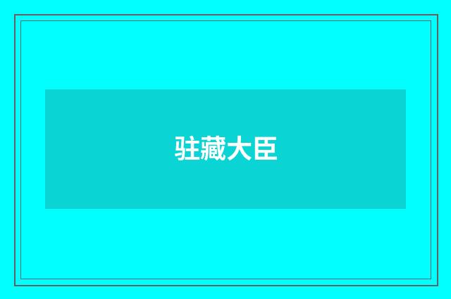 驻藏大臣