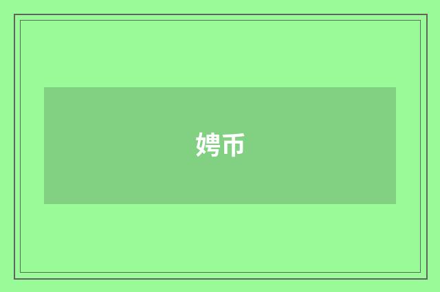 娉币