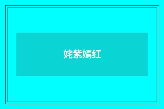 姹紫嫣红