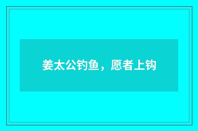 姜太公钓鱼，愿者上钩