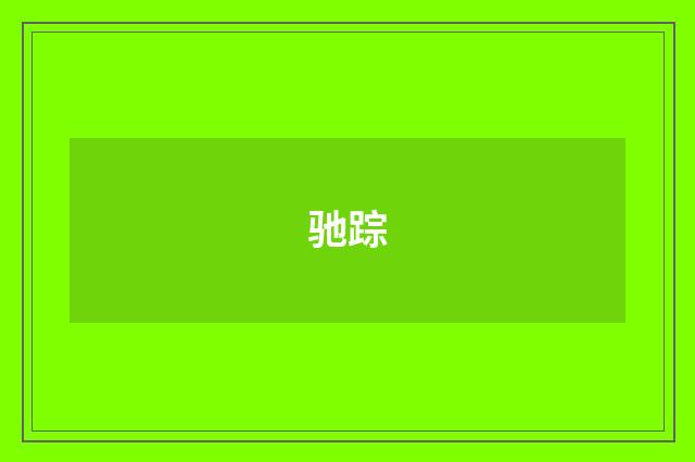 驰踪
