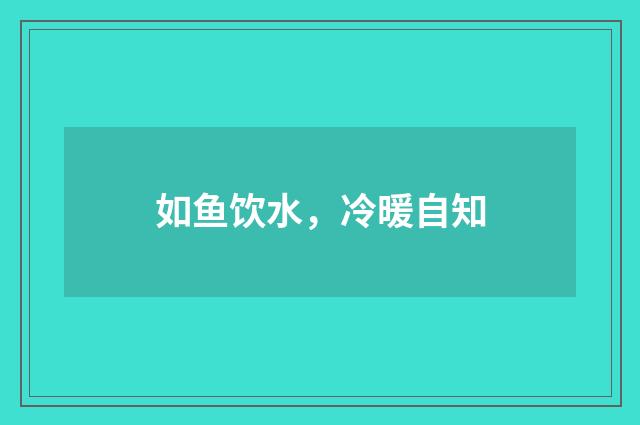 如鱼饮水，冷暖自知