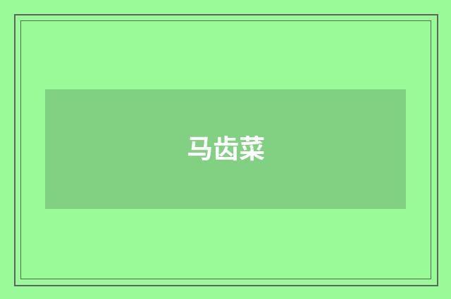 马齿菜