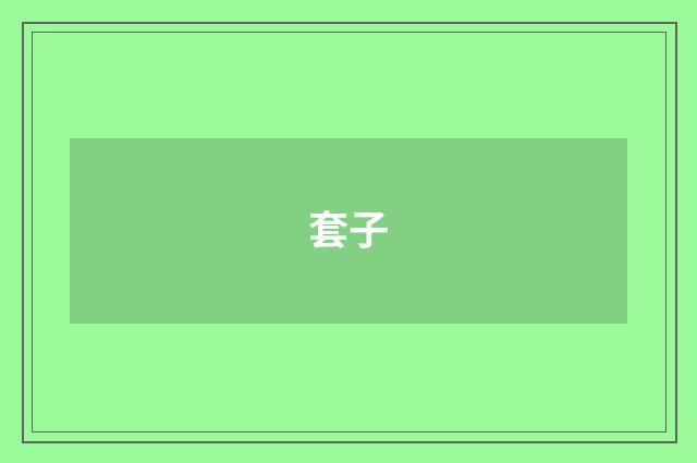 套子