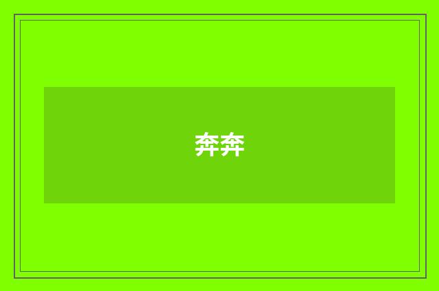 奔奔