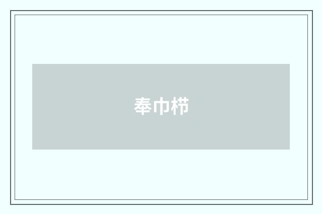 奉巾栉
