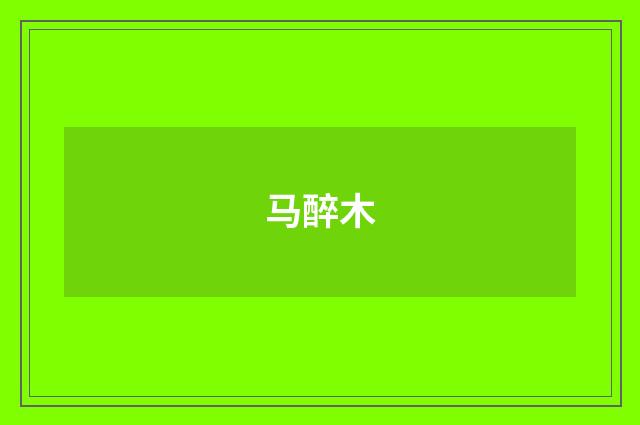 马醉木