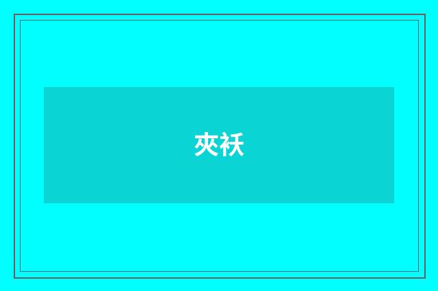 夾袄