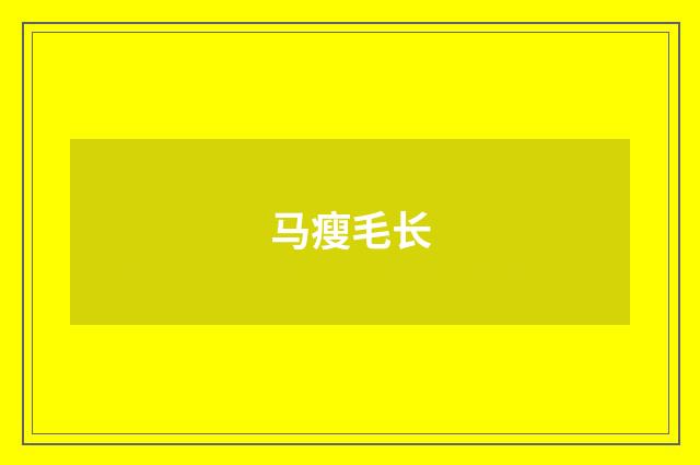 马瘦毛长