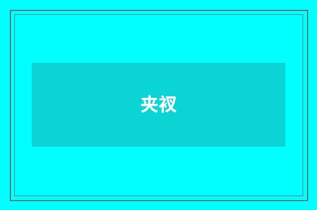 夹衩
