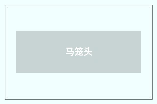 马笼头