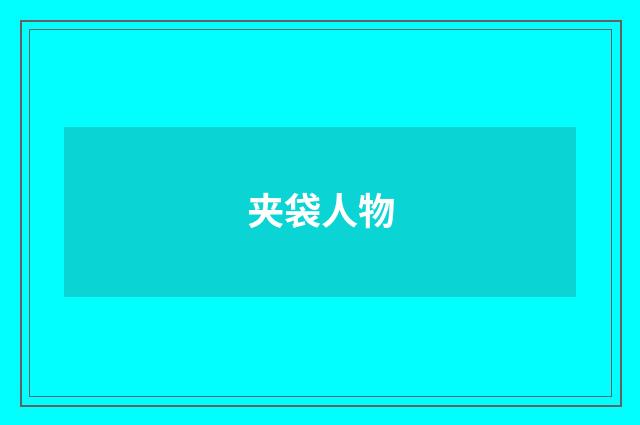 夹袋人物