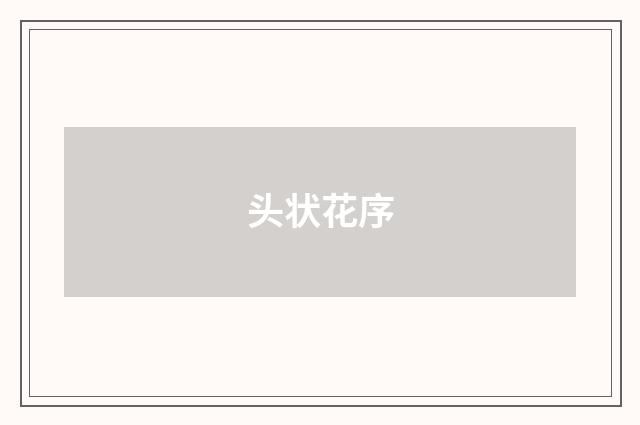 头状花序
