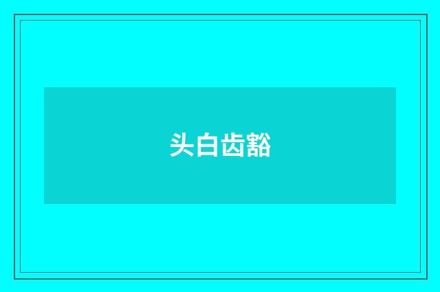 头白齿豁