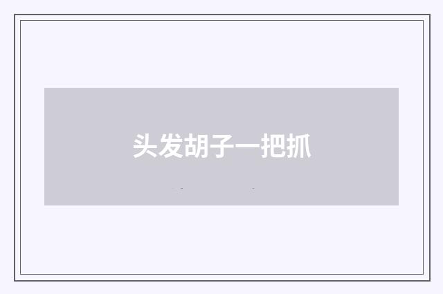 头发胡子一把抓