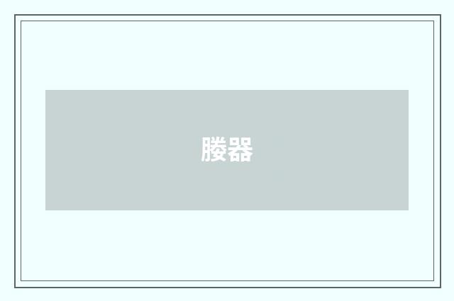 媵器