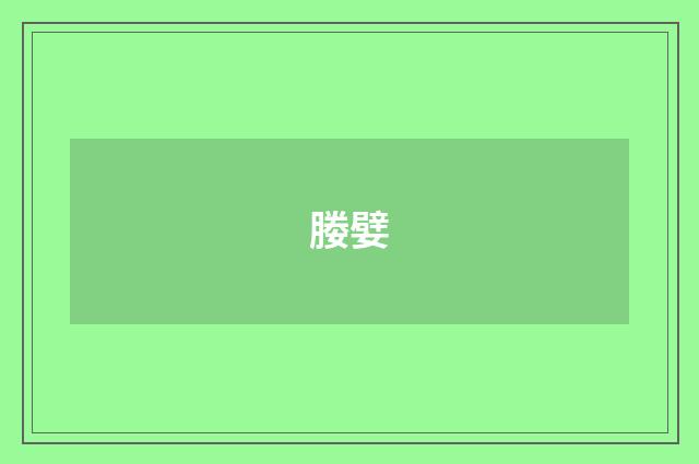 媵嬖