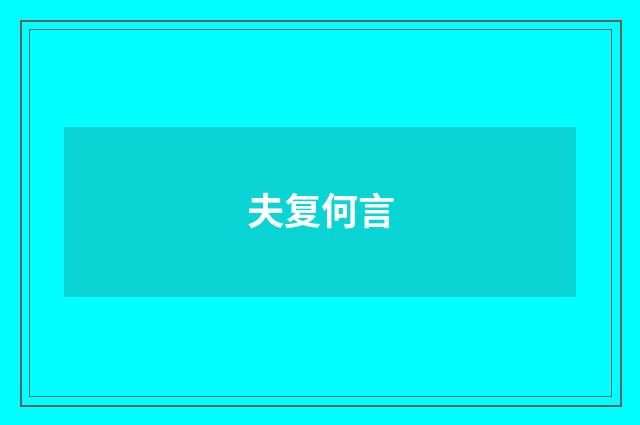 夫复何言